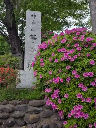 等覚院(神奈川県)