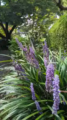 善峯寺(京都府)