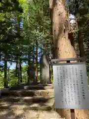 箟峯寺の建物その他