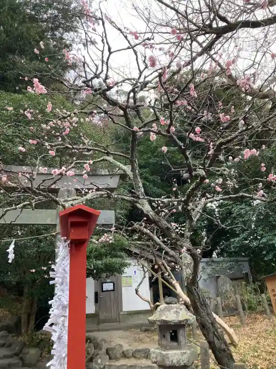 荏柄天神社の{uncategorized: "未分類", other: "その他", undefined: "問題あり", building: "その他建物", grave: "お墓", sacred_gate: "鳥居", guardian: "狛犬", statue: "像", buddha: "仏像", history: "歴史", nature: "自然", garden: "庭園", animal: "動物", pagoda: "塔", temizu: "手水舎", mountain_gate: "山門・神門", sanctuary: "本殿・本堂", subordinate: "末社・摂社", art: "芸術", scenery: "景色", jizo: "地蔵", ema: "絵馬", goshuin: "御朱印", omikuji: "おみくじ", items: "授与品その他", amulet: "お守り", goshuincho: "御朱印帳", eats: "食事", festival: "お祭り", votive_dance: "神楽", shichigosan: "七五三参", wedding: "結婚式", experience: "体験その他", initially: "初詣", around: "周辺", anti_infection: "感染症対策"}