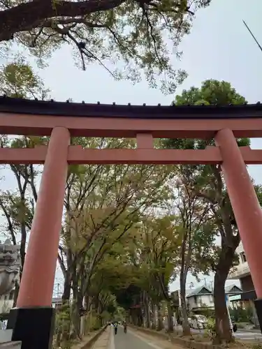武蔵一宮氷川神社(埼玉県)