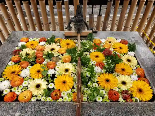 高円寺氷川神社(東京都)