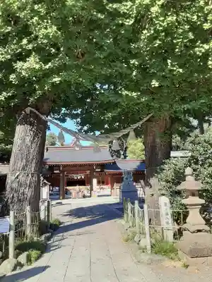亀ケ池八幡宮(神奈川県)