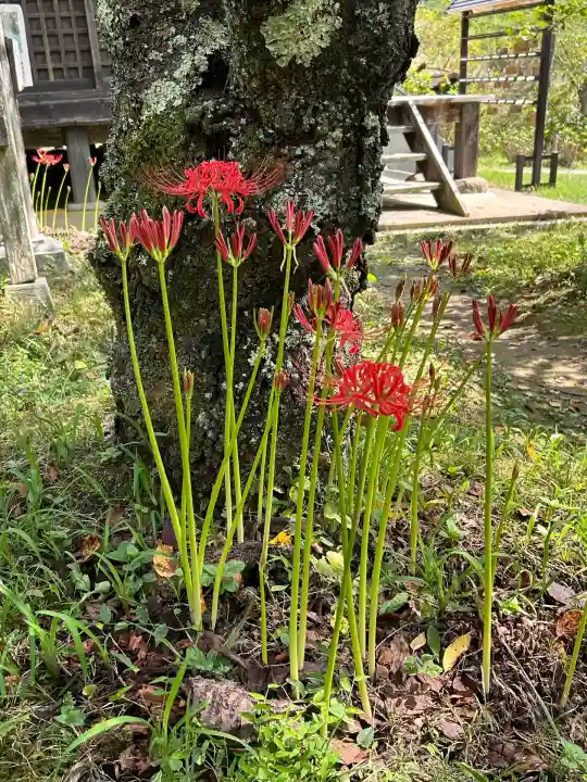 国宝 大法寺(長野県)