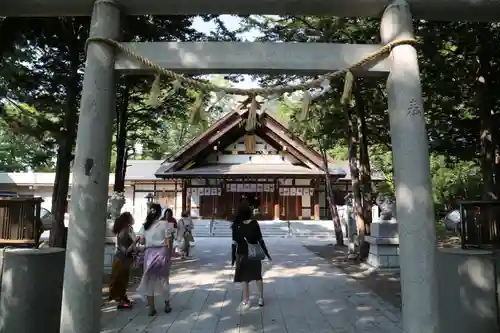 新琴似神社の鳥居