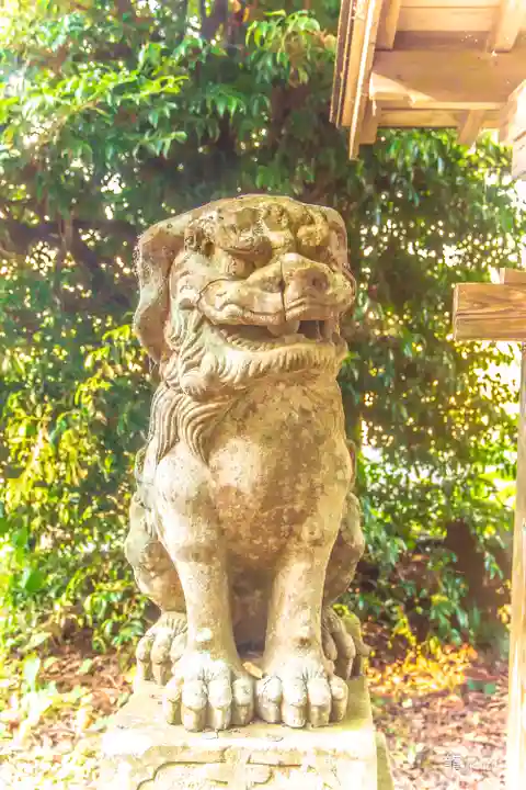 今熊野神社の狛犬