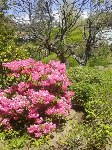 浄妙寺の庭園