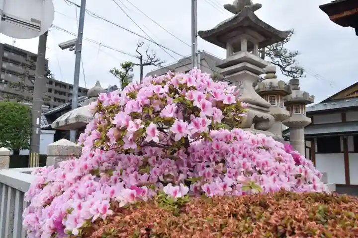 豊国神社の自然