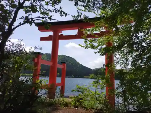 箱根神社の鳥居