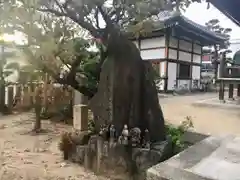 浄徳寺の建物その他