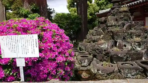宝仙寺のその他建物