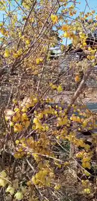 遍照院(埼玉県)