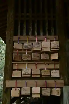 地主神社（桑の川の鳥居杉）(高知県)