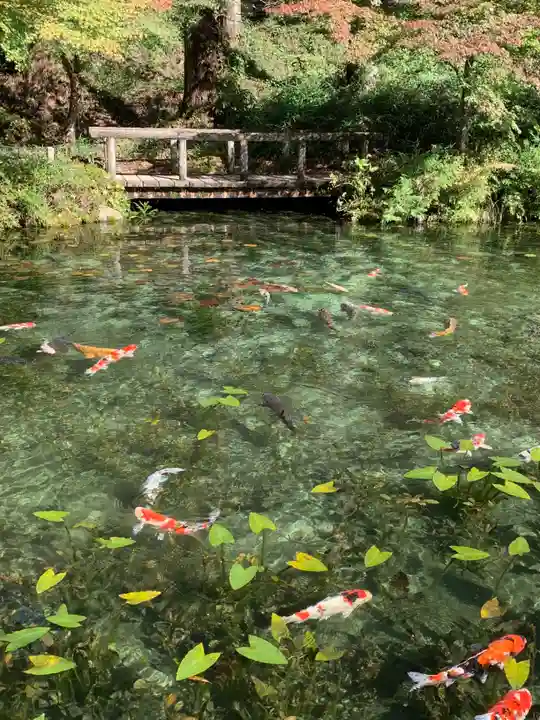 根道神社(岐阜県)