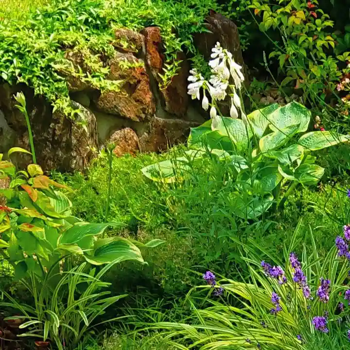 寿量山 速成寺の自然