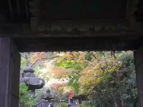 安國論寺（安国論寺）の景色