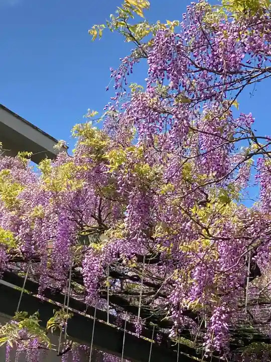 國領神社の自然