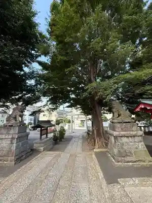 滝野川八幡神社(東京都)