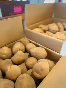 伊達神社(北海道)(2022年09月28日(水) 18時46分15秒投稿)