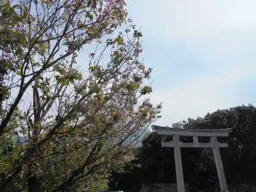 屋久島大社(鹿児島県)