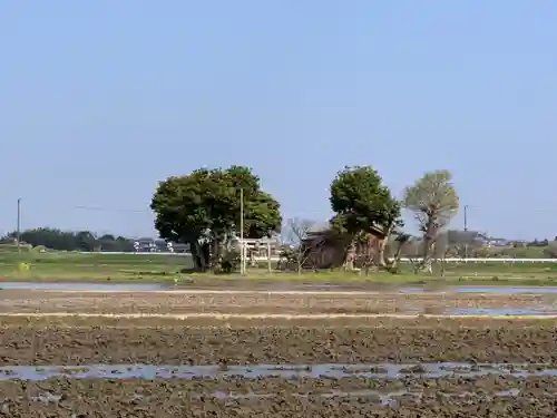 日吉神社のその他建物