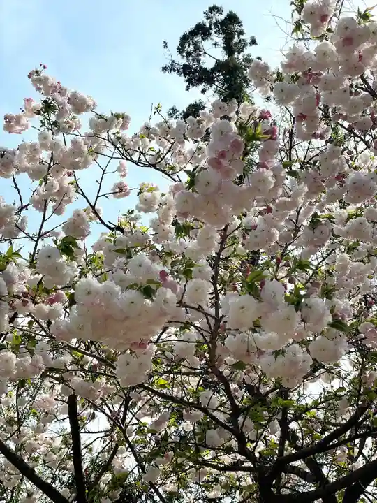 飯福神社(群馬県)