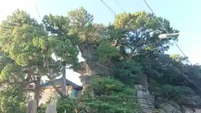 龍神宮のその他建物