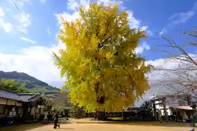 丹生酒殿神社の自然