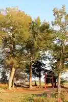 愛宕神社(北海道)