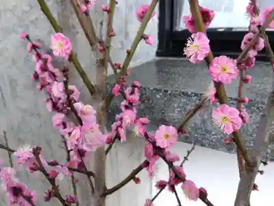 福井神社(福井県)