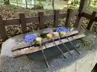 都玉神社の手水舎