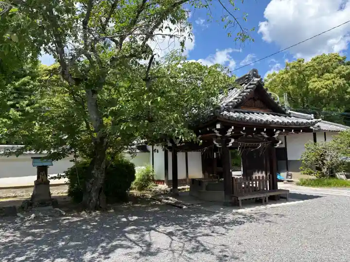 廬山寺(廬山天台講寺)の{uncategorized: "未分類", other: "その他", undefined: "問題あり", building: "その他建物", grave: "お墓", sacred_gate: "鳥居", guardian: "狛犬", statue: "像", buddha: "仏像", history: "歴史", nature: "自然", garden: "庭園", animal: "動物", pagoda: "塔", temizu: "手水舎", mountain_gate: "山門・神門", sanctuary: "本殿・本堂", subordinate: "末社・摂社", art: "芸術", scenery: "景色", jizo: "地蔵", ema: "絵馬", goshuin: "御朱印", omikuji: "おみくじ", items: "授与品その他", amulet: "お守り", goshuincho: "御朱印帳", eats: "食事", festival: "お祭り", votive_dance: "神楽", shichigosan: "七五三参", wedding: "結婚式", experience: "体験その他", initially: "初詣", around: "周辺", anti_infection: "感染症対策"}