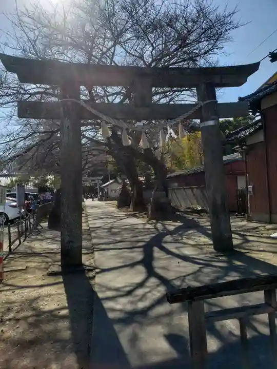 前玉神社(埼玉県)