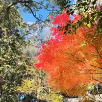 事任八幡宮(静岡県)