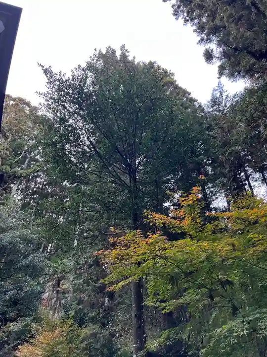 大宮温泉神社(栃木県)