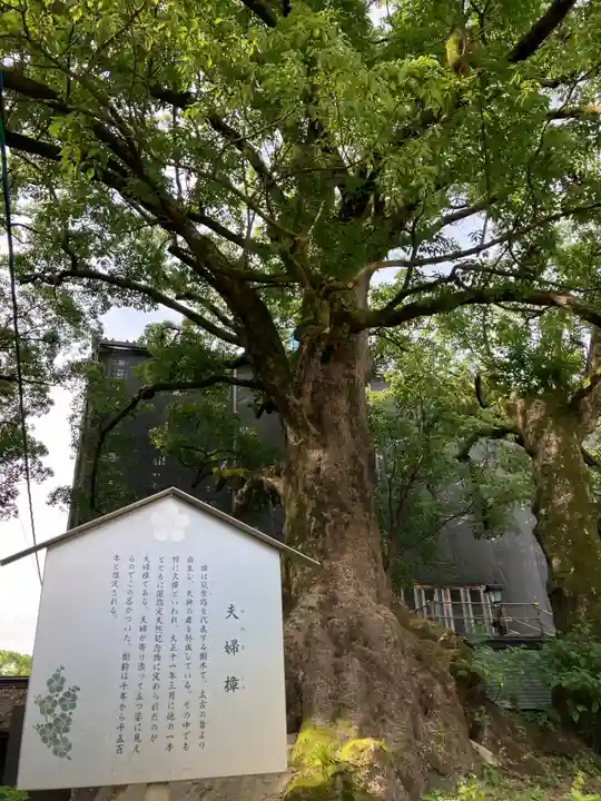 太宰府天満宮の自然