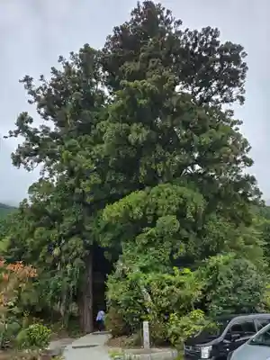 高天彦神社(奈良県)