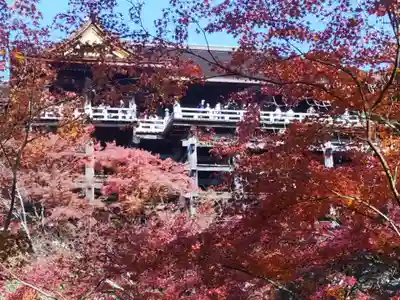 清水寺(京都府)