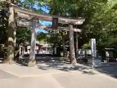 土佐神社の鳥居