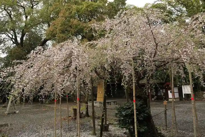水無瀬神宮(大阪府)