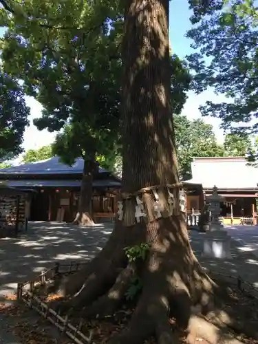 星川杉山神社のその他建物