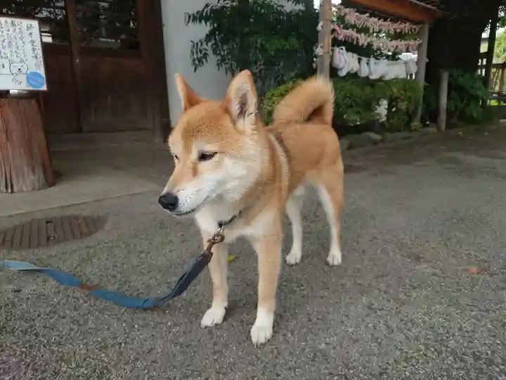 感通寺(東京都)