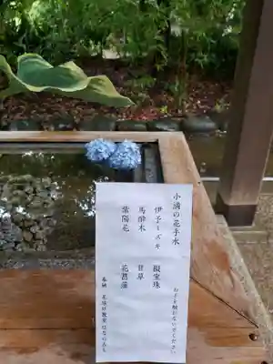 赤坂氷川神社(東京都)