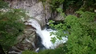 猿田彦神社（閉業）の自然
