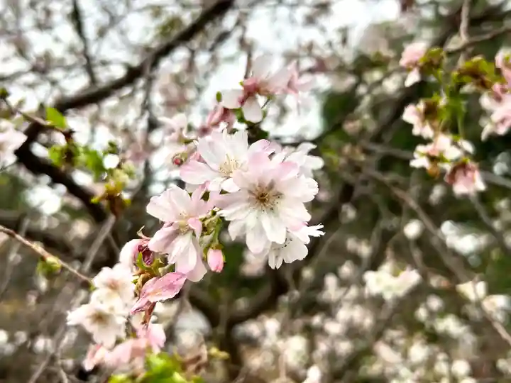 世良田東照宮(群馬県)
