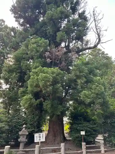 小川温泉神社(栃木県)