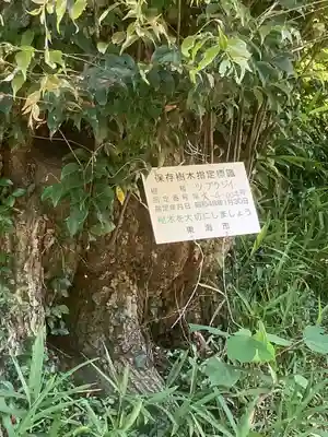 観福寺(愛知県)