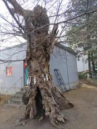 備後須賀稲荷神社(埼玉県)