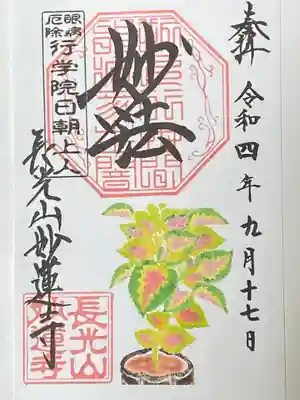 コウリス　にしきじそ
