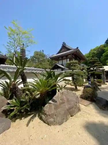 達磨堂 円福寺 の庭園